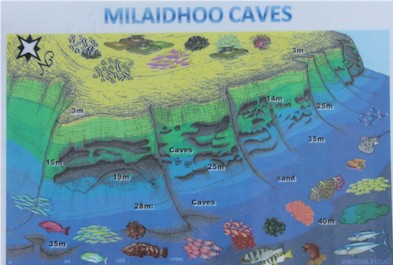 Milaidhoo Caves Dive School